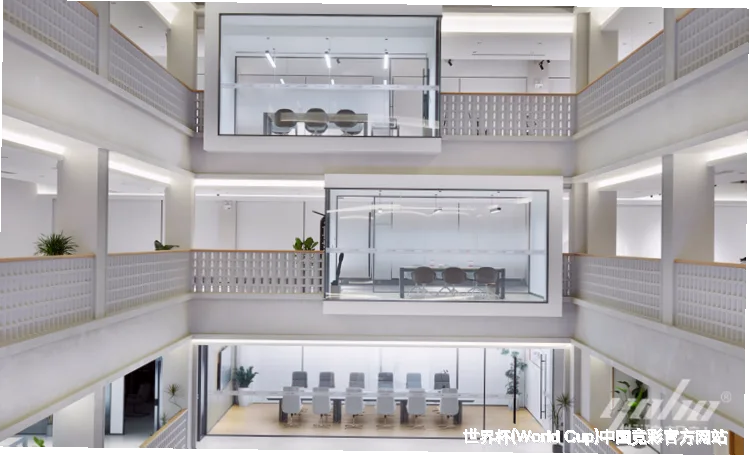 未来愿景与发展方向